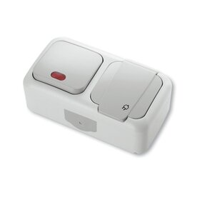 Combinatie Schakelaar met controlelamp / WCD+RA 90555599 Hori. Palmiye Grijs 